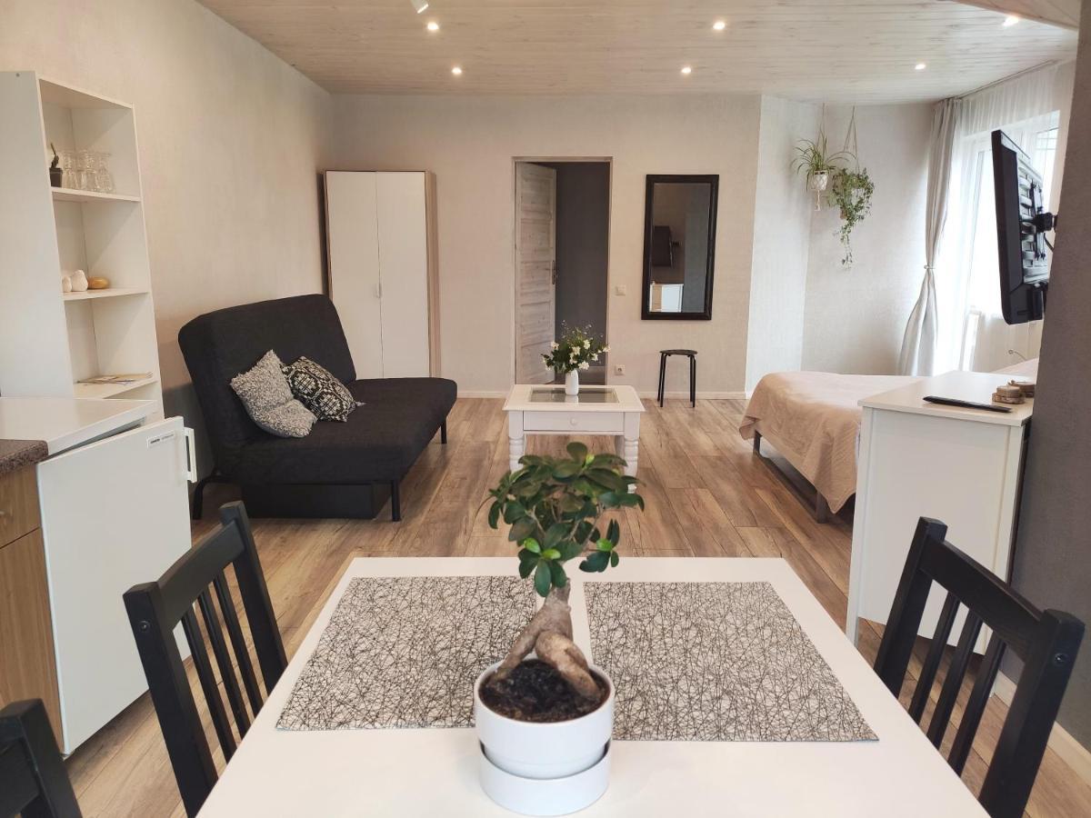 מלון דרוסקינינקאי Family House מראה חיצוני תמונה