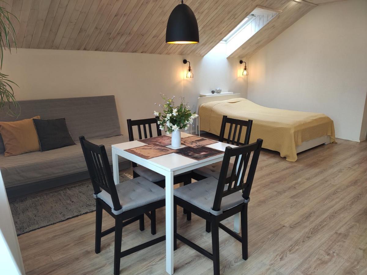 מלון דרוסקינינקאי Family House מראה חיצוני תמונה